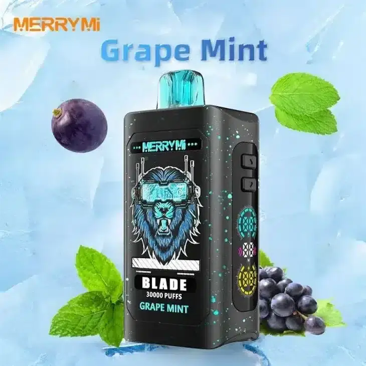 Merrymi Blade 30000 – LED, wygodny i nowoczesny vape | vapepolska